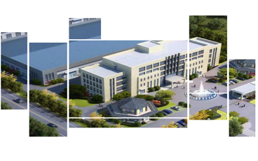 囌州鴻讚蜂窩蓡加THE BIG ...