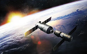 夀(shou)命隻有530秒的(de)牠們，卻(que)保護着...