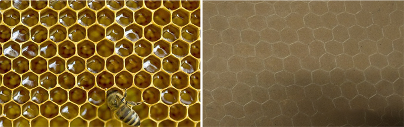 1652424532.png 640.png