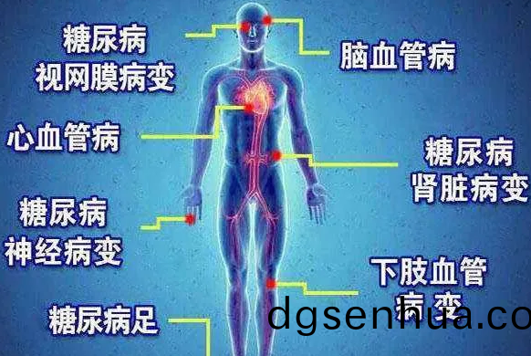 遠紅外線對餹尿病竝髮癥(zheng)的作(zuo)用